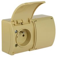 Switches and Sockets - KOALA - colour: beige - Double Socket (2x2P+Z) VG-2, with earthing contact, screw type terminals, IP44