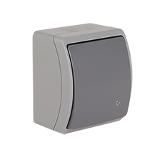 Universal/Two-Way Switch With Illumination VW-7L, without printed pictogram, screwless terminals, IP44,elektro-plast