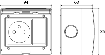 Single Socket 2P+Z + Single Pole Switch GPWPN IP55 - AQUA55, 16A, 250V~, color: gray