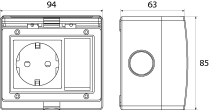 Single Socket Schuko 2P+Z + Single Pole Switch GPSWPN IP55 - AQUA55, 16A, 250V~, color: gray
